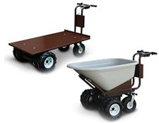 Electric Cart Category